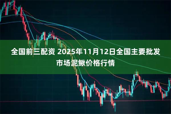 全国前三配资 2025年11月12日全国主要批发市场泥鳅价格行情